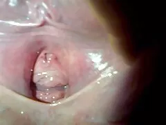 خدمتکار لعنتی کلیپ سکس زن باحیوانات آنا در نکته